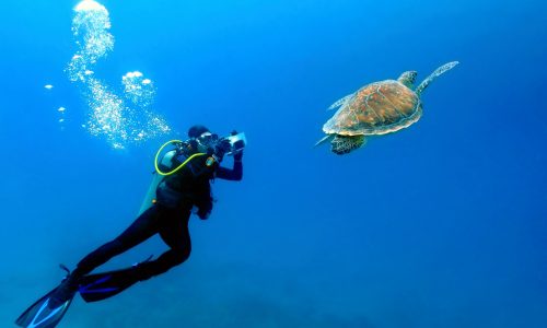 Scuba,Diver,Photographer,Swimming,With,The,Sea,Turtle.,Blue,Sea,